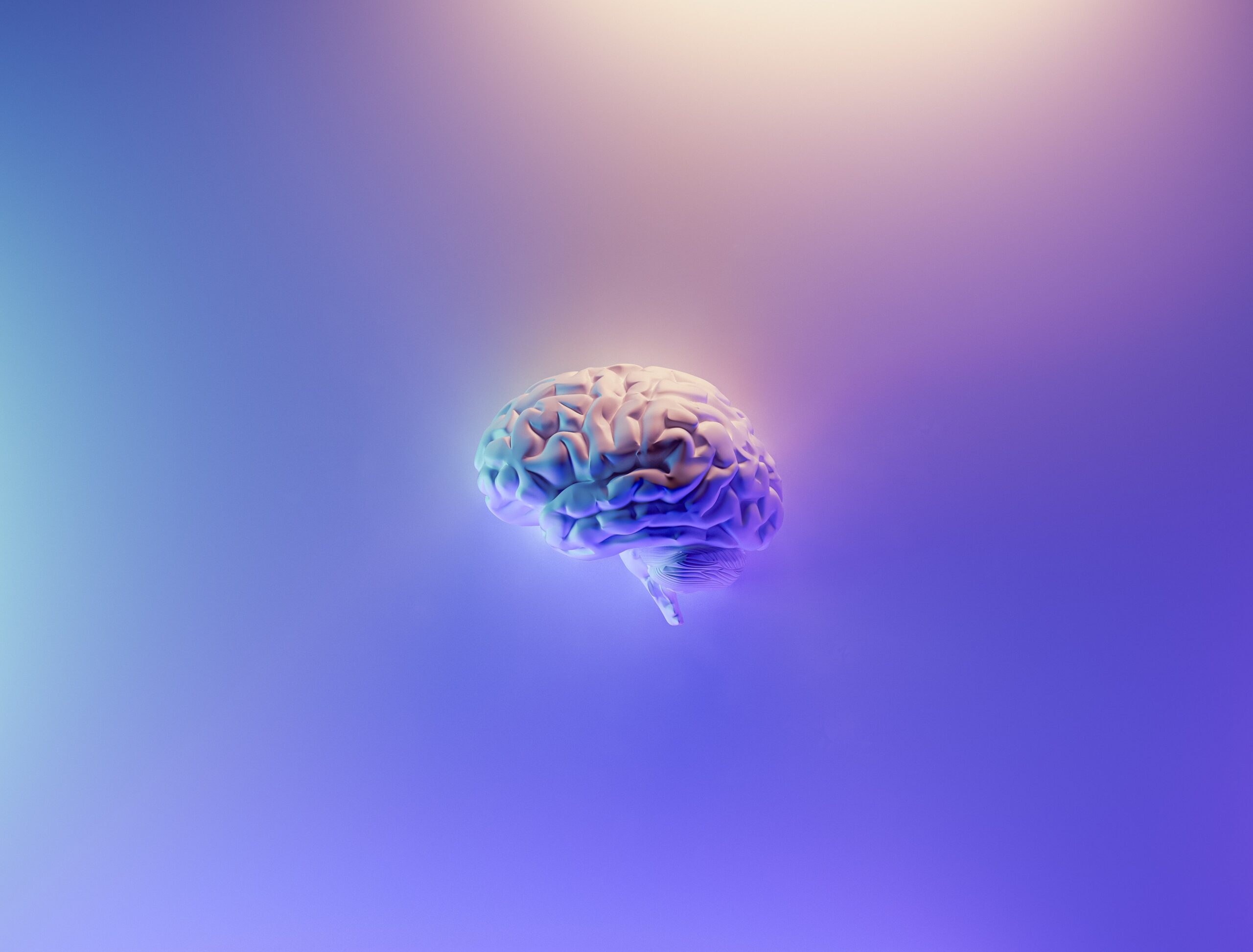 Cognitive Distortions: “Bugs” of our brain